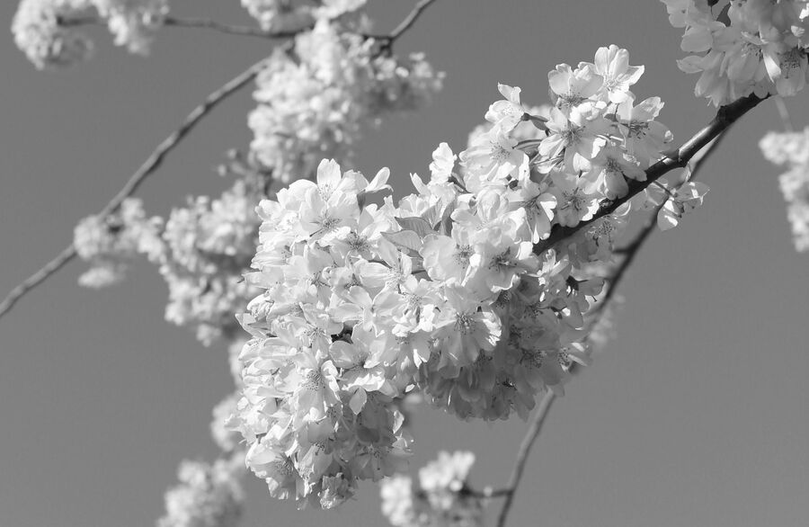 Krise und frische Brise